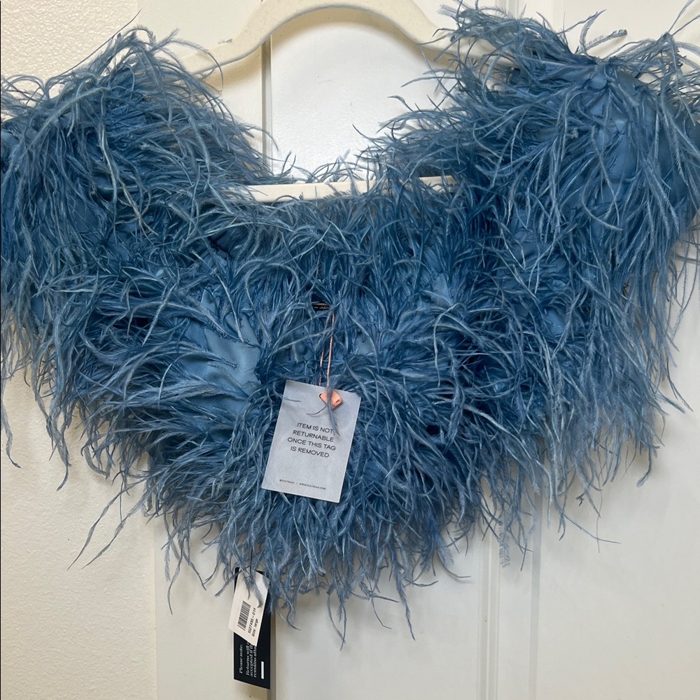 Cult gaia Feathered top